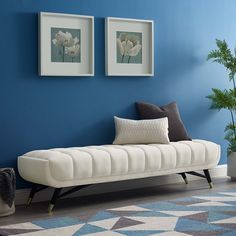 a living room with blue walls and two framed pictures on the wall, a white bench in front of a potted plant