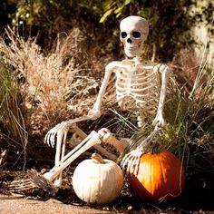 a skeleton sitting on the ground next to a pumpkin