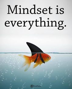 a goldfish swimming in the water with a quote about mindset is everything