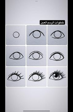 an image of different types of eyes in arabic text on a white background with black border