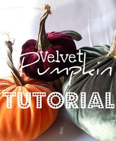 three pumpkins sitting next to each other with the words, velvet pumpkin tutorial