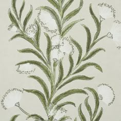 a drawing of some white flowers and green leaves on a light gray wallpaper background