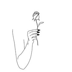 a person holding a flower in their hand with one line drawing on the other side