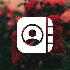 red roses with the letter q on it in front of a blurry background that looks like an app icon