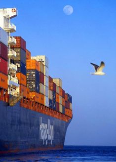 a large cargo ship in the ocean with seagulls flying around it and two birds