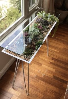 a glass table with succulents and plants on it in front of a window