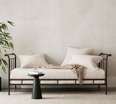 a living room with a couch, coffee table and potted plant