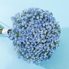 a bunch of blue flowers sitting on top of a light blue table next to each other