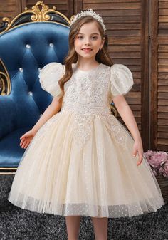 Dress Girls Kids, Birthday Skirt, Princess Tutu Dress, Princess Tutu, Girl Princess Dress, Childrens Dress, Dress Girls, Dresses Kids Girl, Pump Dress