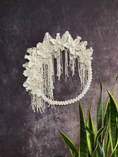 a close up of a plant near a wall with a lace headband on it