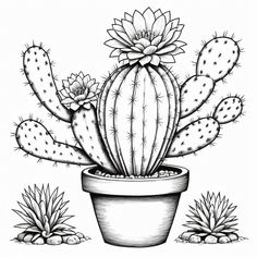 a drawing of a cactus in a pot