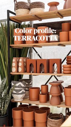 the shelves are filled with clay pots and other decorative items for sale at terracotta