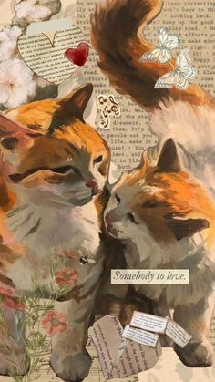 an image of two cats that are touching each other's faces with words written on them