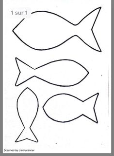 an image of fish cut out from paper