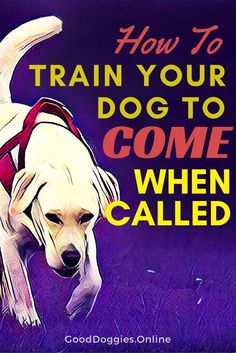 a book cover for how to train your dog to come when called, with an image of a yellow lab