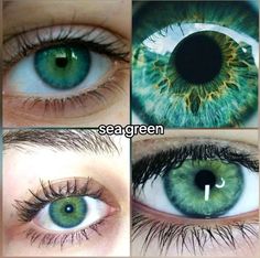 Eye Colors Green, Mermaid Eye Color, Carribean Blue Eyes, Seafoam Green Eyes, Ocean Green Eyes, Eye Colors Aesthetic, Sea Green Eyes Aesthetic, Blue Green Eye Color, Eye Subliminal