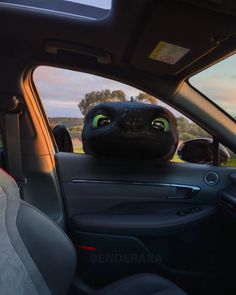 a black cat sitting in the passenger seat of a car with its head out the window