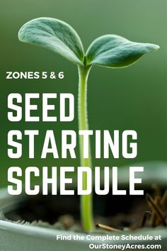 seed starting schedule for zone 5 and 6