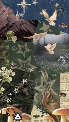 an artistic collage with birds, flowers and stars