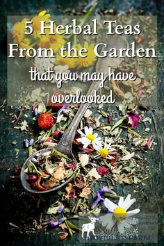 a spoon full of flowers with the words 5 herb teas from the garden that you may have overlooked