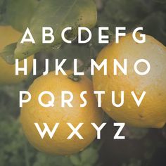 two lemons hanging from a tree with the letters below them