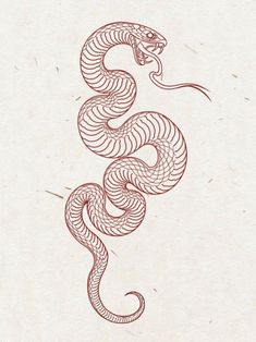 a drawing of a snake on paper