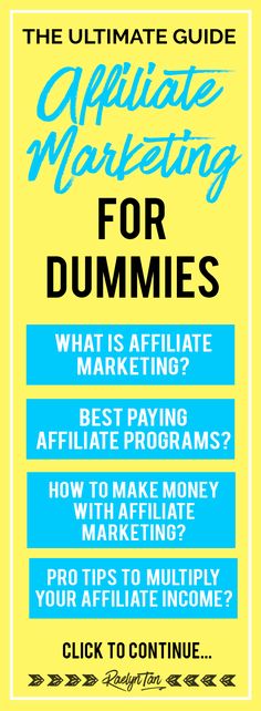 the ultimate guide to starting writing for dummies what is affiliate?