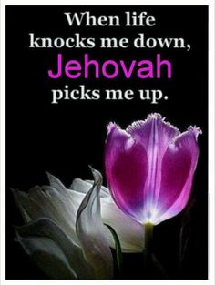 a purple flower with the words when life knocks me down, jehovah picks me up