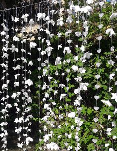 some white flowers hanging from the side of a fence