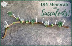 an arrangement of succulents on a rock with the words diy memorial with succulents