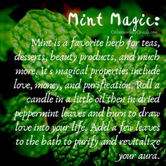 Witchcraft Food, Food Magic, Kitchen Witch Recipes, Magickal Herbs, Witch Tarot, Witch Garden, Magic Herbs, Kitchen Magic, Kitchen Witchery