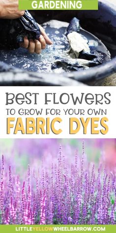 the best flowers to grow for your own fabric dyes