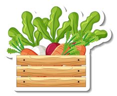 a wooden crate filled with vegetables on a white background