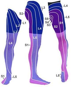 Lower Leg Pain, Limassol Cyprus, Spine Health, Sciatic Nerve, Leg Pain, Paphos, Nerve Pain, Lower Leg, Sciatica