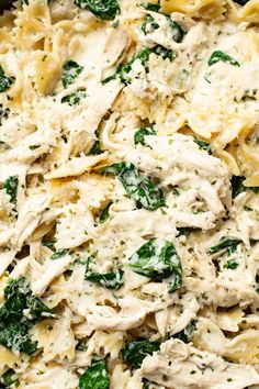 pasta with chicken, spinach and cheese in a pan