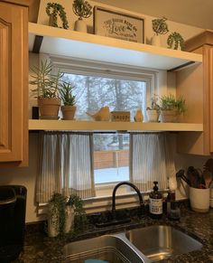 a kitchen window with potted plants on the ledge above it and a sink below