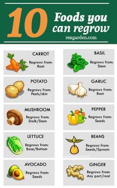 the food you can regrow chart is shown