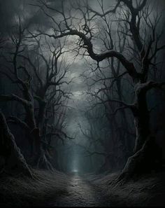 a creepy dark forest with trees and light at the end is shown in this image