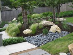 a garden with rocks and palm trees