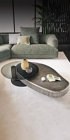 a living room with a couch, coffee table and other items on the carpeted floor