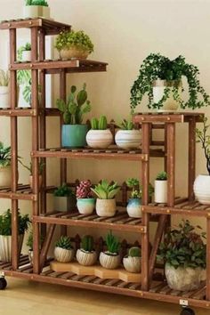 a wooden shelf filled with potted plants on top of a hard wood floor