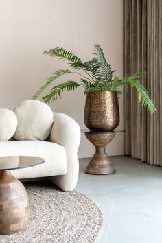 a white couch sitting next to a tall plant in a vase on top of a table