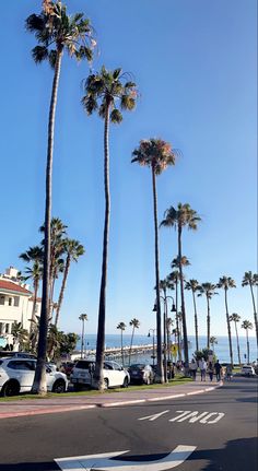 palm trees line the street in front of an ocean