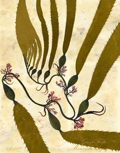 an abstract painting with green leaves and red flowers on white paper, in the shape of wavy lines