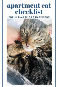 a person petting a cat with the caption apartment cat checklist for ultimate cat happiness