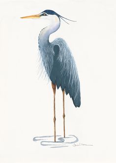 a painting of a blue heron standing in the water with its long legs spread out