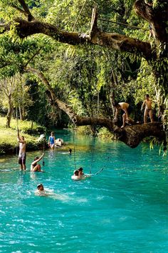 people are swimming in the river with trees hanging over their heads and holding onto ropes