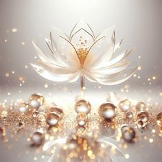 a white and gold lotus flower surrounded by bubbles on a reflective surface with lights in the background