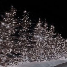 a car driving down a snow covered road at night with lights on the trees behind it