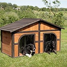 two dogs are sitting in their dog house